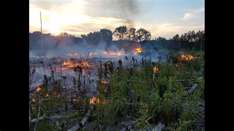 Crews Responding To Woods Fire At Harbison State Forest