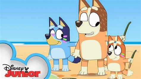 ویدیو Bluey Season 3 Episode 41 Stickbird Episode Clip