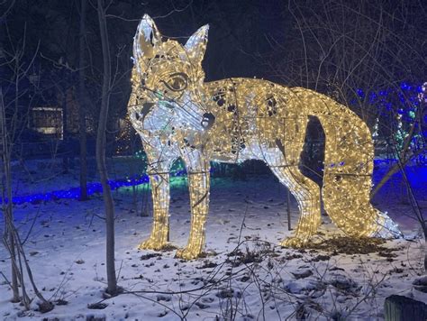 ULTIMATE Guide to the Detroit Zoo Lights in 2023