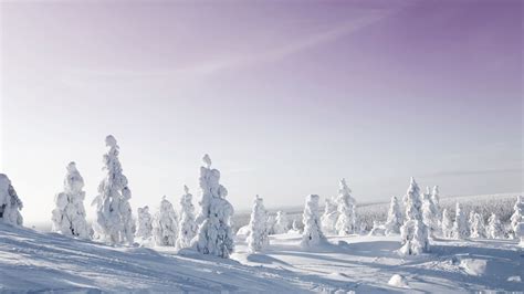 Sweden Winter Wallpapers - Wallpaper Cave