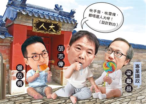 政whats噏：吃力不討好 泛民疑棄參選人大｜即時新聞｜港澳｜oncc東網