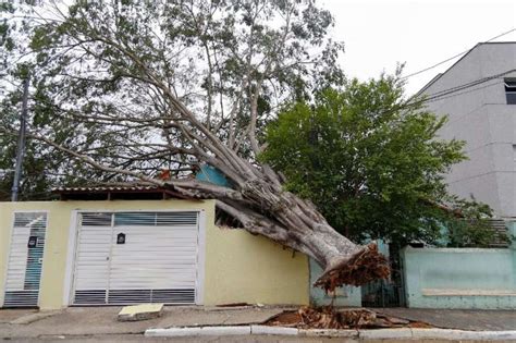 Eight dead as heavy rain thrashes Brazil after long drought