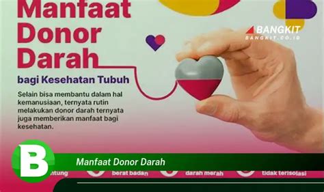 Intip Manfaat Donor Darah Yang Bikin Kamu Penasaran