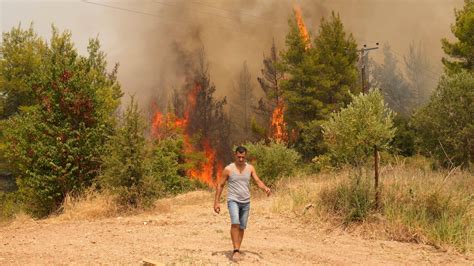 Wildfires In Greece 2024 - Alanah Teresa