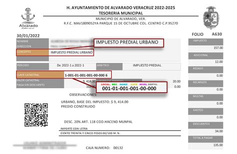 Pagar Impuesto Predial 2024 Conni Diandra