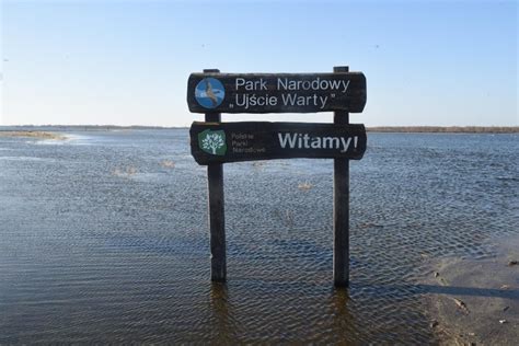 Park Narodowy Ujście Warty Nowa Trybuna Opolska