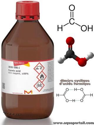 Acide formique définition et explications