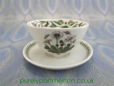 portmeirion botanic garden 6