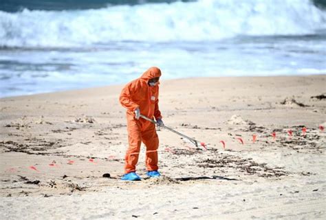 Sídney Reabre Sus Playas Al Determinar La Sustancia De Esferas De Polución