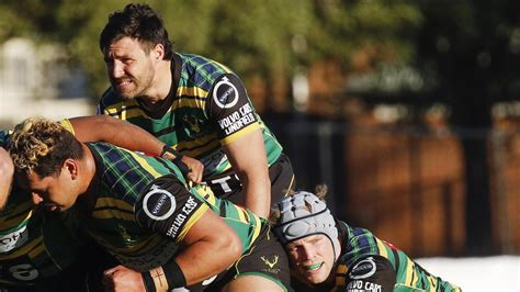 Shute Shield Gordon Rugby Club Champions Minor Premiers After