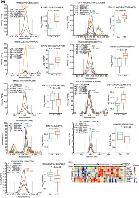 Prm‐ms Analysis For Nine Selected Proteins A A Representative Peak Download Scientific