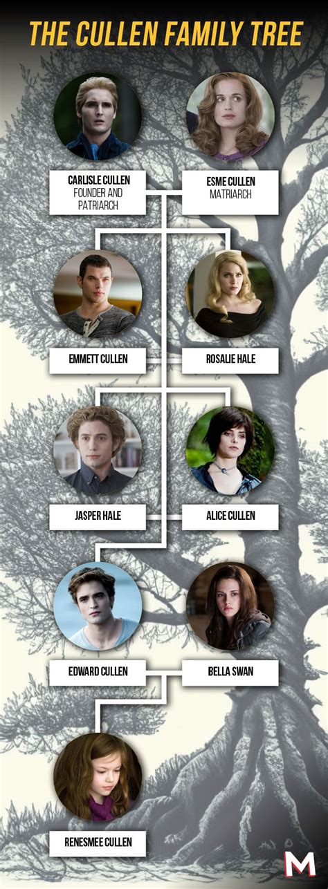 Twilight's Cullen Family Tree and Character Ages, Explained