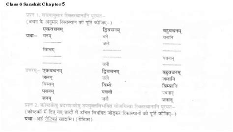 Ncert Solutions Class 6 Sanskrit Ruchira Chapter 5 वृक्षाः