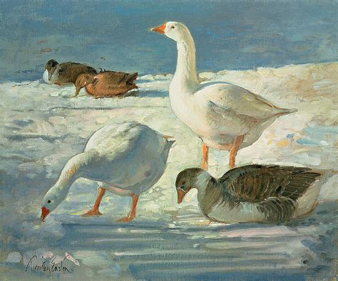 Geese And Mallards 2000 Oil On Canvas Photograph By Timothy Easton