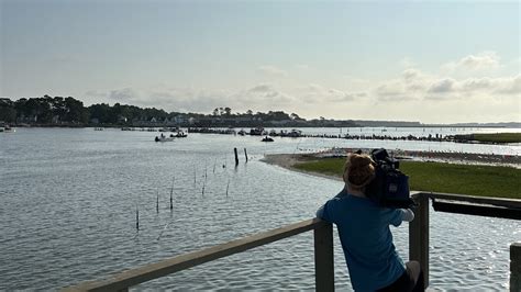 Annual Chincoteague Island Pony Swim draws large crowd