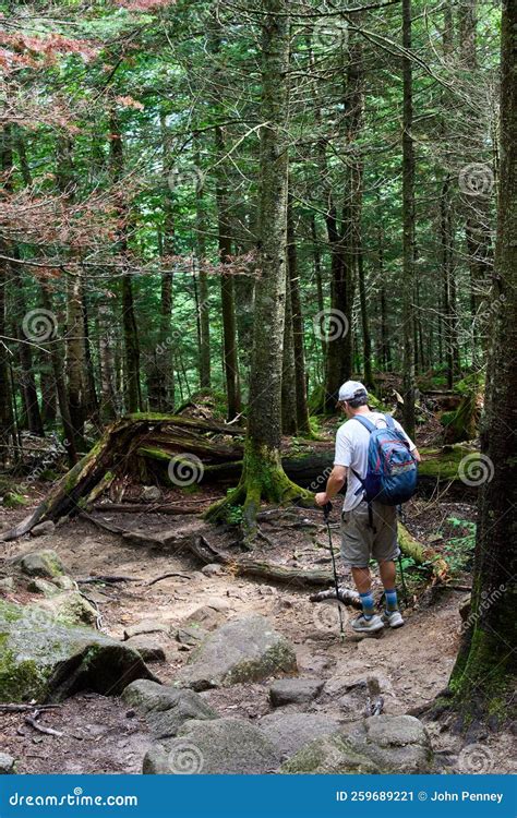 A Hiker, with a Backpack and Poles, on a Trail in the White Mountains ...