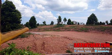 Peruntukan Lahan Kebun Cengkeh Senggiling Perlu Dikaji Kembali