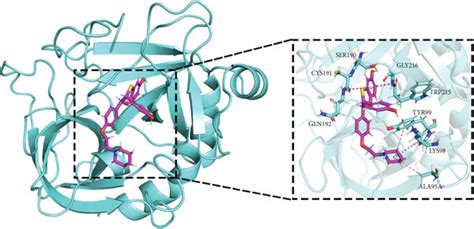 Molecular Docking And Dynamics Simulation A Surface Binding Of Download Scientific Diagram