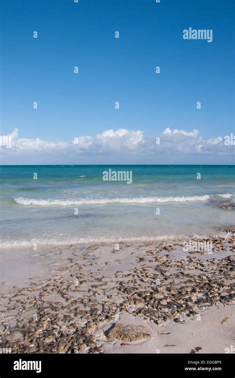 Cayo Coco Cuba beach Stock Photo - Alamy