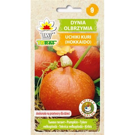 Dynia Olbrzymia Uchiki Kuri Hokkaido G