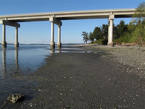 Gravel Beach: Hood Canal Bridge