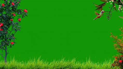 Nature Green Screen Background Video Effects Hd Green Screen