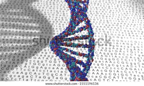 740 Human Genome Map Images, Stock Photos & Vectors | Shutterstock