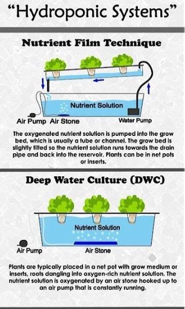 Diy Water Chiller For Hydroponics Thanh Peeples