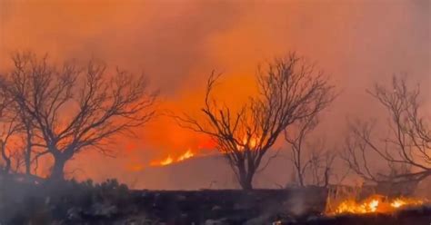 Texas Wildfire Now Biggest In States History As Fierce Winds Threaten Further Spread Of Inferno