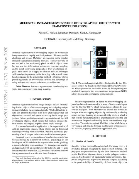 Multistar Instance Segmentation Of Overlapping Objects With Star