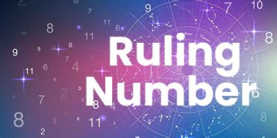 foundation  strength exploring numerology life path number