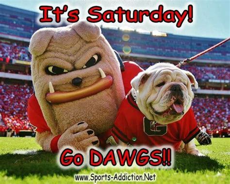 Pin By Marsha Fisher On Uga Georgia Bulldog Mascot Bulldog Georgia