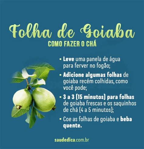 Ch De Folha De Goiaba Para Que Serve Benef Cios E Como Fazer