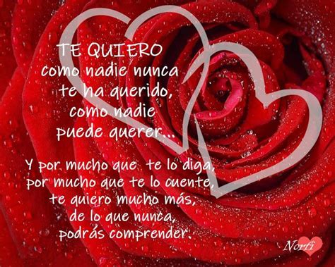 Te Quiero M S De Lo Que Nunca Sabr S Frases De Amor Para Alguien