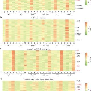 Subunit Selective Expression Patterns Of Nf B Target Genes Ad