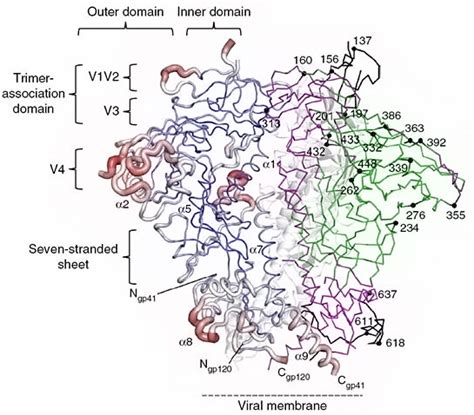 Structure And Conformational Fixation Of Mature Ligand Free Hiv 1 Env