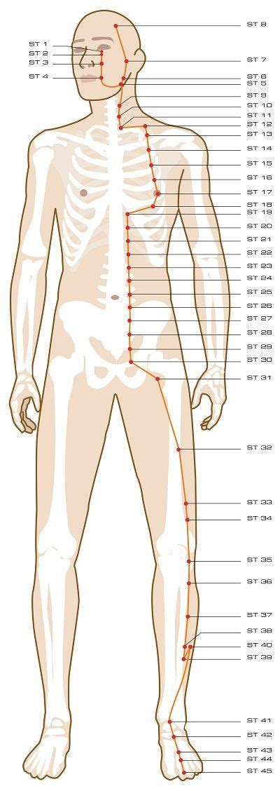 Acupuncture To Relief Pains Meridian Acupuncture Acupuncture Points