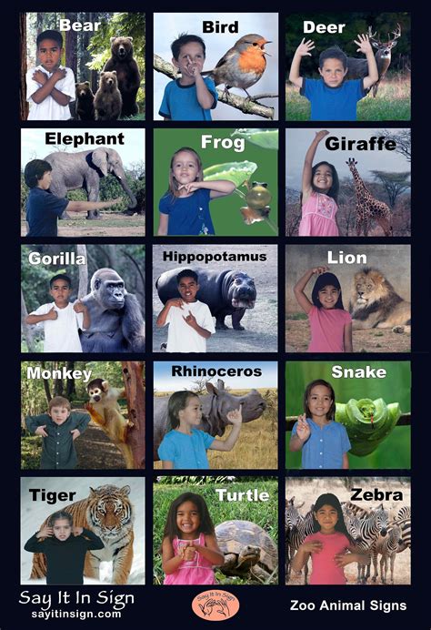 Zoo Animal Signs ASL Lenticular Poster, Zoo Poster, Animal Sign ...