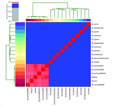 Heatmap Of Average Nucleotide Identity Ani Values Of Representative