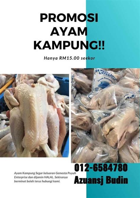 Ayam Kampung Segar Dari Ladang Everything Else Others On Carousell