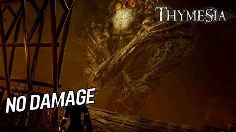 Thymesia God Of The Fools Boss Fight No Damage No Block Ng