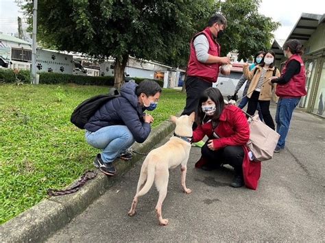 新北法扶會參訪板橋毛寶貝生命教育園區 與動保處跨界交流 新頭條 Thehubnews