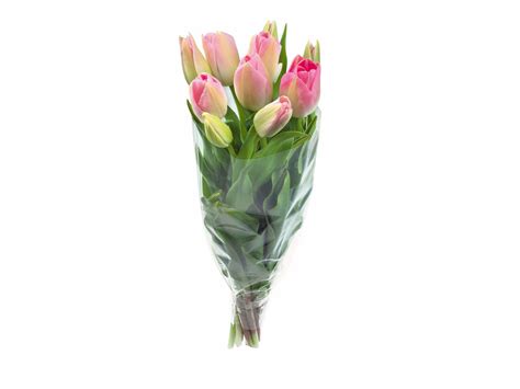 Tulipes Lidl Luxembourg Archive Des Offres Promotionnelles