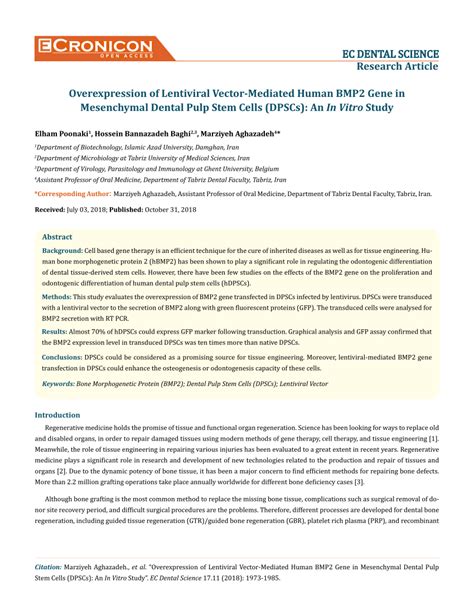 PDF Overexpression Of Lentiviral Vector Mediated Human BMP2 Gene In