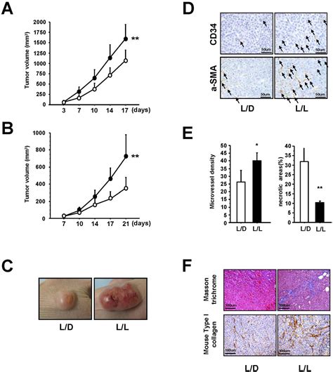 Pdf Circadian Disruption Accelerates Tumor Growth And Angio