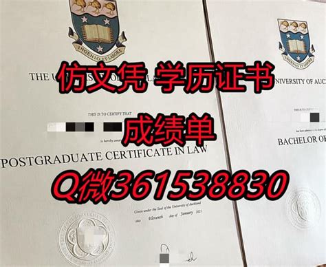 定制奥克兰大学成绩单】 Ppt