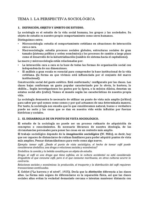 Apuntes Intro Sociología Pdf Emile Durkheim Sociología