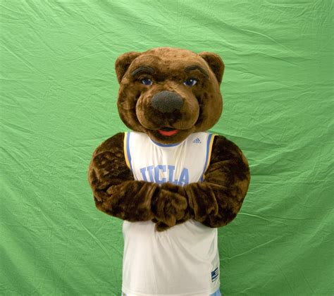 UCLA Official Mascot | AdmissionSight