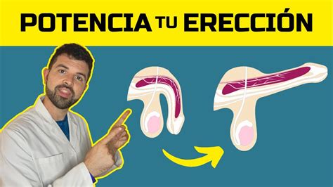 Los Trucos Secretos Para Erecciones M S Potentes Haz Esto Para