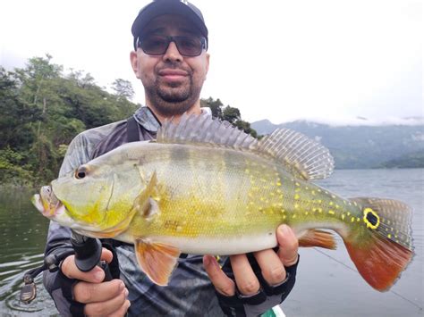 Espacio De Pesca Pesca De Tucunare En La Represa De Hidrosogamoso